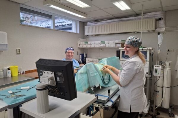 https://dierenkliniekcamminghaburen.nl/wp-content/uploads/2025/04/20250203_093421-scaled-600x400.jpg