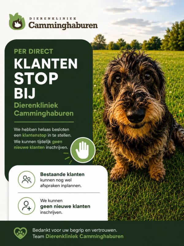 https://dierenkliniekcamminghaburen.nl/wp-content/uploads/2026/06/1000035839-600x800.jpg